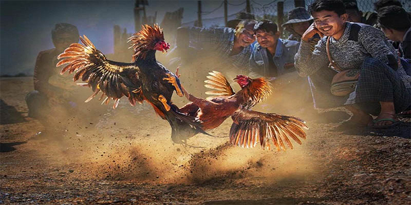 nohu88 chơi bắn cá đổi thưởng