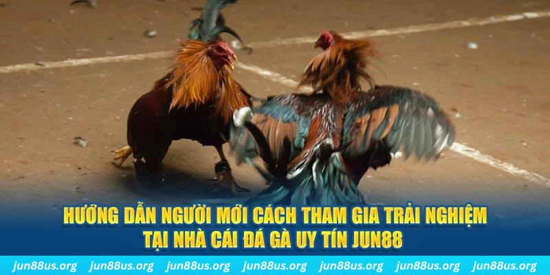nohu88 CQ9 Điện Tử