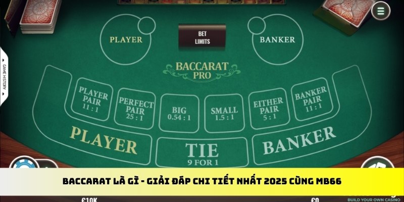 nohu88 gà chọi cu cần