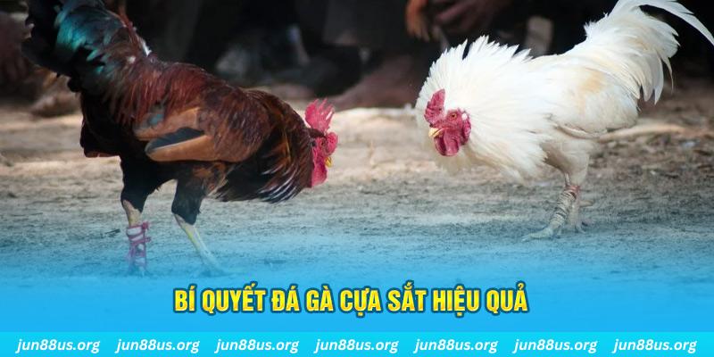 nohu88 xin 1 slot là gì