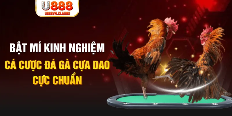 nohu88 tỷ lệ cá cược châu á là gì