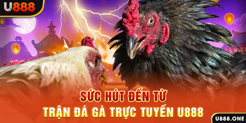 nohu88 nổ hũ b29 là gì
