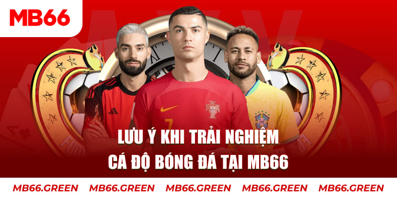 nohu88 cá cược là gì