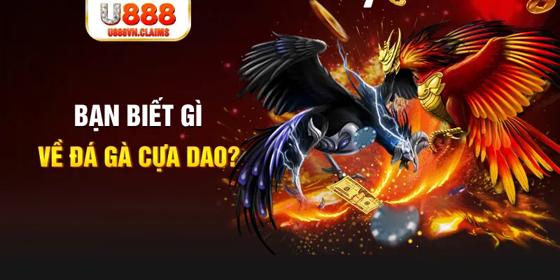 nohu88 nổ hủ là gì