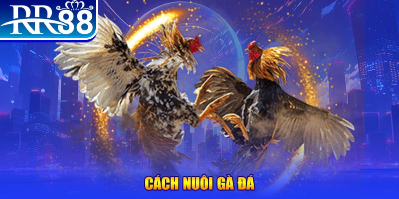nohu88 xổ số an giang