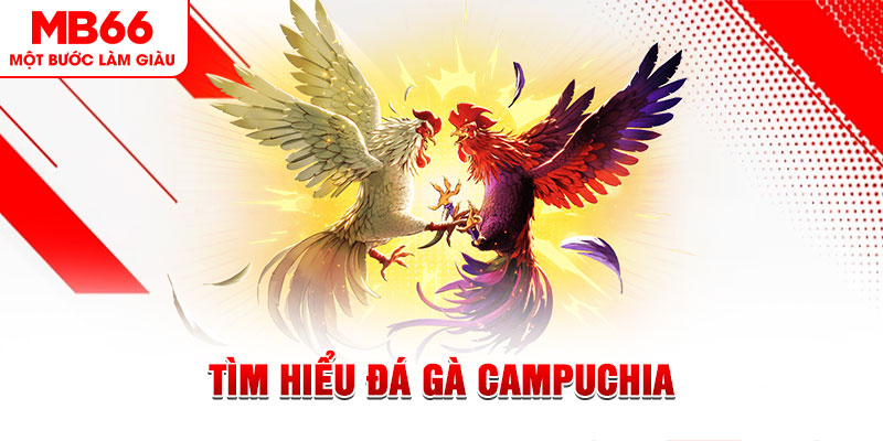 nohu88 đá gà trực tiếp