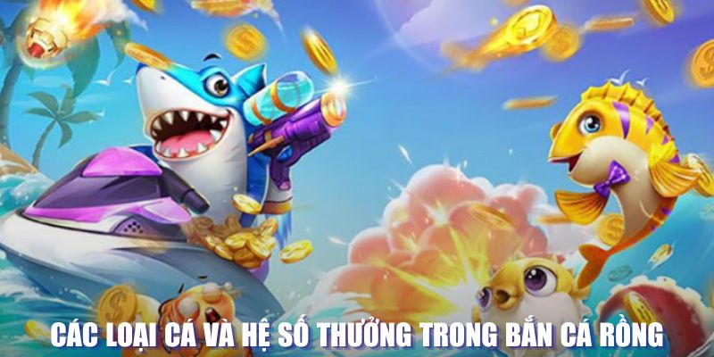 nohu88 đăng nhập sòng bạc mới nhất