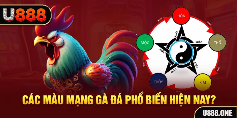 nohu88 trực tiếp đá gà 88