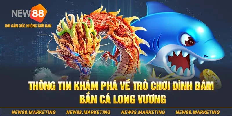 nohu88 baccarat lừa đảo như thế nào