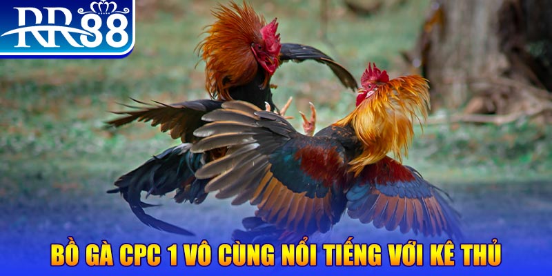 nohu88 game máy bay nổ hũ