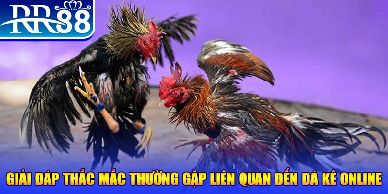 nohu88 slot machine là gì