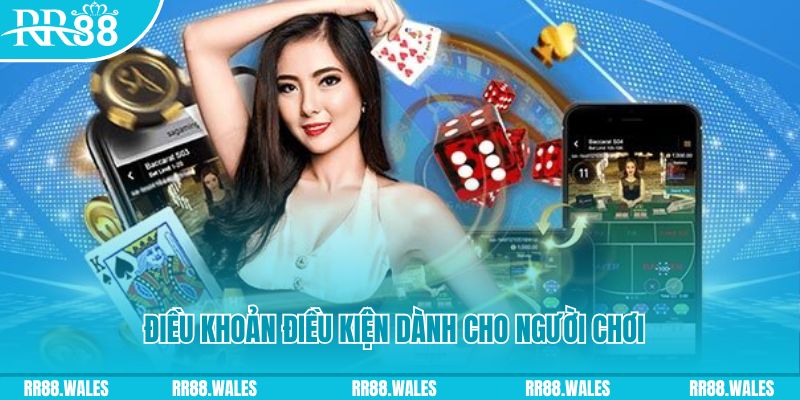 nohu88 casino gồm những gì