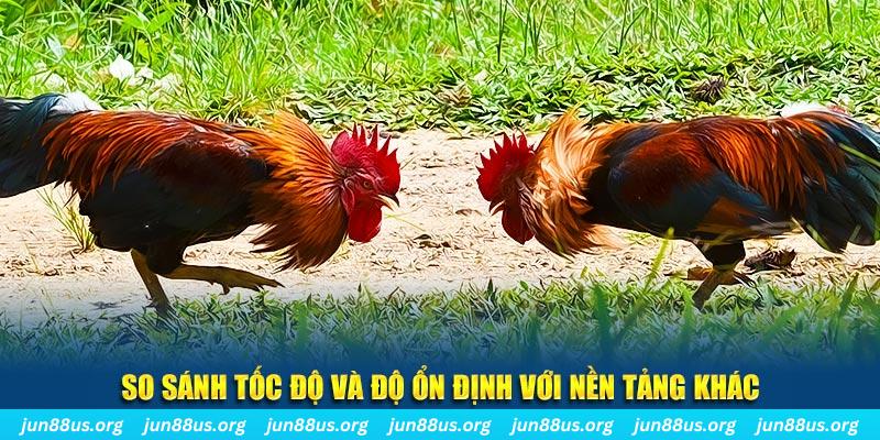 nohu88 đá gà hôm nay