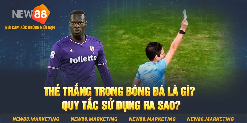 nohu88 gà chọi mộc hóa