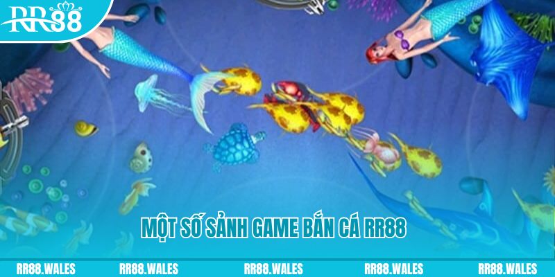 nohu88 đăng nhập mậu binh uy tín