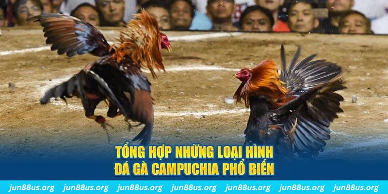 nohu88 đăng nhập nổ hũ 2024