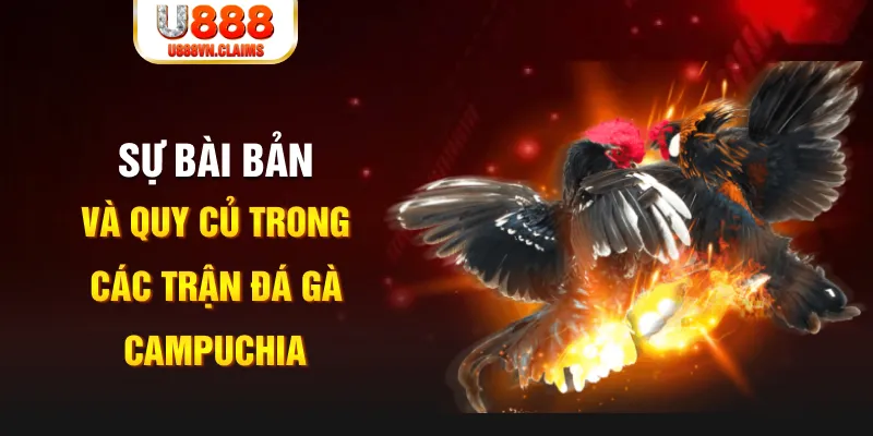 nohu88 YGR Điện Tử