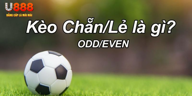 nohu88 đăng nhập poker hôm nay