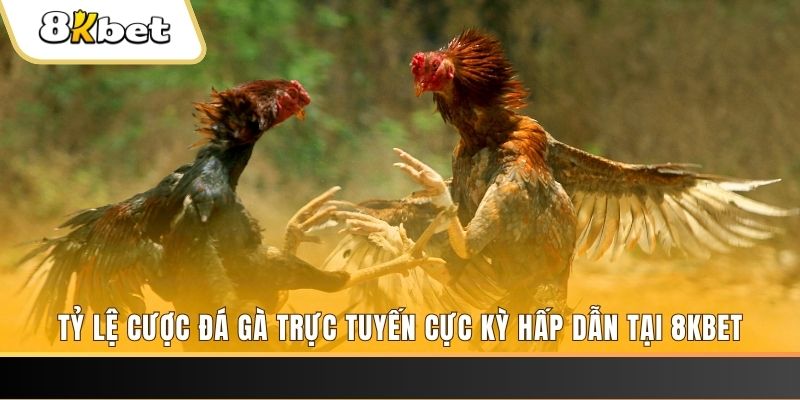 nohu88 xổ số trực tiếp miền bắc
