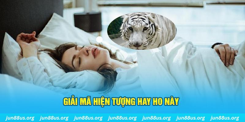 nohu88 đăng nhập nổ hũ uy tín