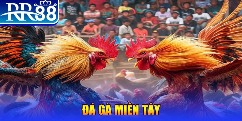 nohu88 chơi slot là gì