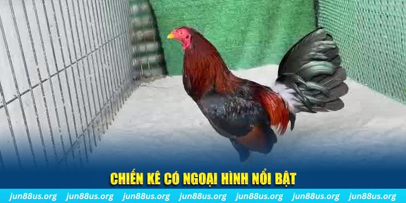 nohu88 chạy quảng cáo cho game bài bị phạt như thế nào