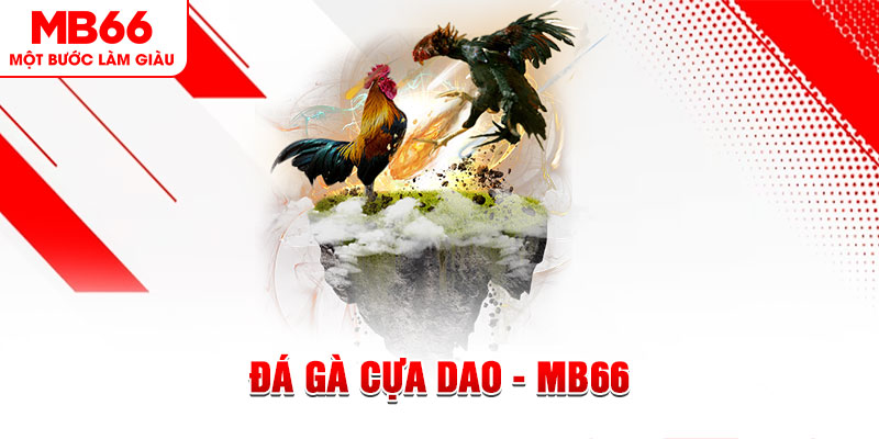 nohu88 đá gà sv388 gold