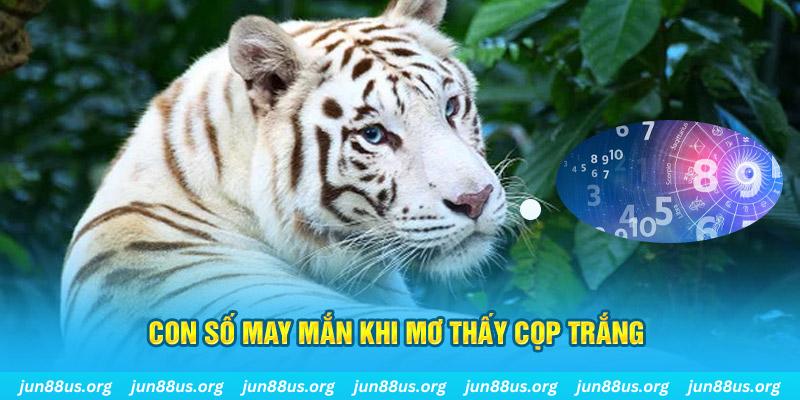 nohu88 đá gà trực tiếp 88
